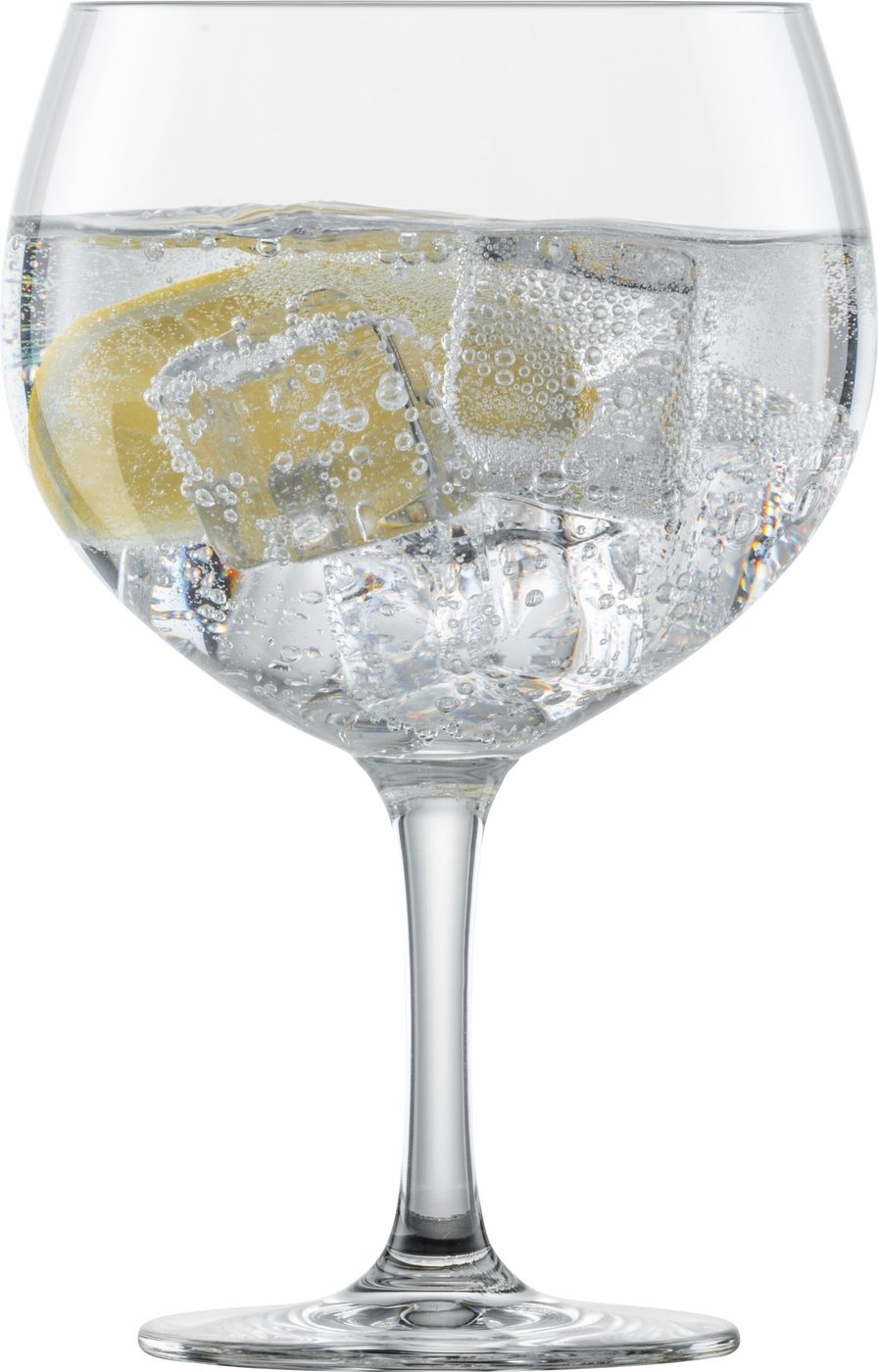 Gin Tonic - BAR SPECIAL